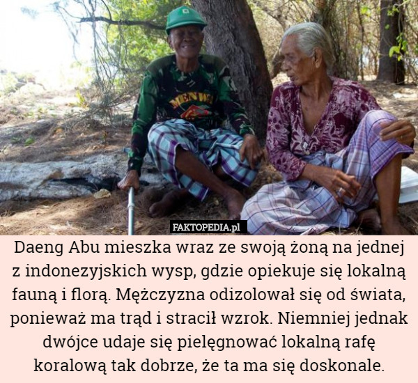 Daeng Abu mieszka wraz ze swoją żoną na jednej z indonezyjskich wysp, gdzie opiekuje się lokalną fauną i florą. Mężczyzna odizolował się od świata, ponieważ ma trąd i stracił wzrok. Niemniej jednak dwójce udaje się pielęgnować lokalną rafę koralową tak dobrze, że ta ma się doskonale. 