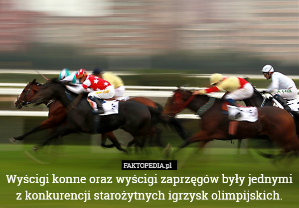 Wyścigi konne oraz wyścigi zaprzęgów były jednymi z konkurencji starożytnych igrzysk olimpijskich. 