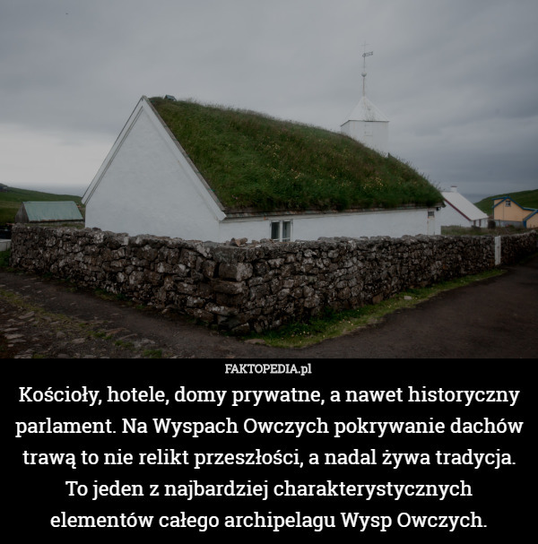 Kościoły, hotele, domy prywatne, a nawet historyczny parlament. Na Wyspach Owczych pokrywanie dachów trawą to nie relikt przeszłości, a nadal żywa tradycja. To jeden z najbardziej charakterystycznych elementów całego archipelagu Wysp Owczych. 