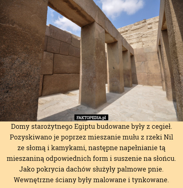 Domy starożytnego Egiptu budowane były z cegieł. Pozyskiwano je poprzez mieszanie mułu z rzeki Nil
 ze słomą i kamykami, następne napełnianie tą mieszaniną odpowiednich form i suszenie na słońcu. Jako pokrycia dachów służyły palmowe pnie. Wewnętrzne ściany były malowane i tynkowane. 