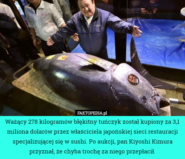 Ważący 278 kilogramów błękitny tuńczyk został kupiony za 3,1 miliona dolarów przez właściciela japońskiej sieci restauracji specjalizującej się w sushi. Po aukcji, pan Kiyoshi Kimura przyznał, że chyba trochę za niego przepłacił. 
