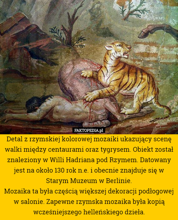 Detal z rzymskiej kolorowej mozaiki ukazujący scenę walki między centaurami oraz tygrysem. Obiekt został znaleziony w Willi Hadriana pod Rzymem. Datowany jest na około 130 rok n.e. i obecnie znajduje się w Starym Muzeum w Berlinie.
Mozaika ta była częścią większej dekoracji podłogowej w salonie. Zapewne rzymska mozaika była kopią wcześniejszego helleńskiego dzieła. 