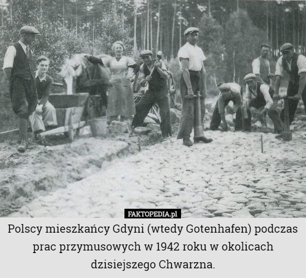 Polscy mieszkańcy Gdyni (wtedy Gotenhafen) podczas prac przymusowych w 1942 roku w okolicach dzisiejszego Chwarzna. 