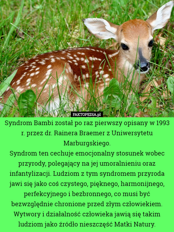 Syndrom Bambi został po raz pierwszy opisany w 1993 r. przez dr. Rainera Braemer z Uniwersytetu Marburgskiego.
Syndrom ten cechuje emocjonalny stosunek wobec przyrody, polegający na jej umoralnieniu oraz infantylizacji. Ludziom z tym syndromem przyroda jawi się jako coś czystego, pięknego, harmonijnego, perfekcyjnego i bezbronnego, co musi być bezwzględnie chronione przed złym człowiekiem. Wytwory i działalność człowieka jawią się takim ludziom jako źródło nieszczęść Matki Natury. 