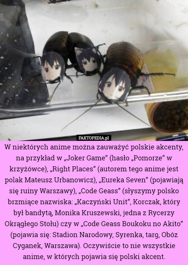 W niektórych anime można zauważyć polskie akcenty, na przykład w „Joker Game” (hasło „Pomorze” w krzyżówce), „Right Places” (autorem tego anime jest polak Mateusz Urbanowicz), „Eureka Seven” (pojawiają się ruiny Warszawy), „Code Geass” (słyszymy polsko brzmiące nazwiska: „Kaczyński Unit”, Korczak, który był bandytą, Monika Kruszewski, jedna z Rycerzy Okrągłego Stołu) czy w „Code Geass Boukoku no Akito” (pojawia się: Stadion Narodowy, Syrenka, targ, Obóz Cyganek, Warszawa). Oczywiście to nie wszystkie anime, w których pojawia się polski akcent. 