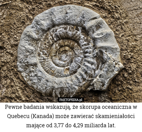 Pewne badania wskazują, że skorupa oceaniczna w Quebecu (Kanada) może zawierać skamieniałości mające od 3,77 do 4,29 miliarda lat. 