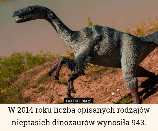 W 2014 roku liczba opisanych rodzajów nieptasich dinozaurów wynosiła 943. 