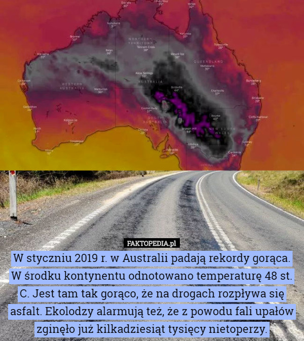 W styczniu 2019 r. w Australii padają rekordy gorąca. W środku kontynentu odnotowano temperaturę 48 st. C. Jest tam tak gorąco, że na drogach rozpływa się asfalt. Ekolodzy alarmują też, że z powodu fali upałów zginęło już kilkadziesiąt tysięcy nietoperzy. 
