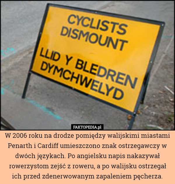 W 2006 roku na drodze pomiędzy walijskimi miastami Penarth i Cardiff umieszczono znak ostrzegawczy w dwóch językach. Po angielsku napis nakazywał rowerzystom zejść z roweru, a po walijsku ostrzegał ich przed zdenerwowanym zapaleniem pęcherza. 