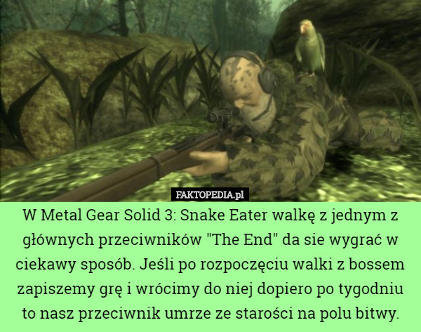 W Metal Gear Solid 3: Snake Eater walkę z jednym z głównych przeciwników "The End" da sie wygrać w ciekawy sposób. Jeśli po rozpoczęciu walki z bossem zapiszemy grę i wrócimy do niej dopiero po tygodniu to nasz przeciwnik umrze ze starości na polu bitwy. 