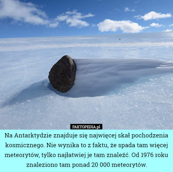 Na Antarktydzie znajduje się najwięcej skał pochodzenia kosmicznego. Nie wynika to z faktu, że spada tam więcej meteorytów, tylko najłatwiej je tam znaleźć. Od 1976 roku znaleziono tam ponad 20 000 meteorytów. 