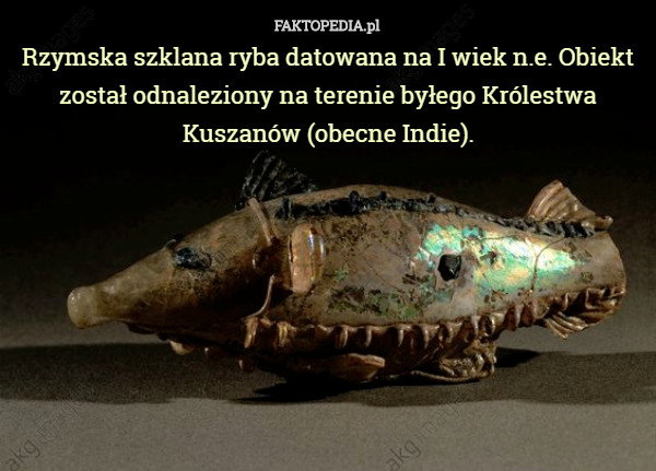 Rzymska szklana ryba datowana na I wiek n.e. Obiekt został odnaleziony na terenie byłego Królestwa Kuszanów (obecne Indie). 