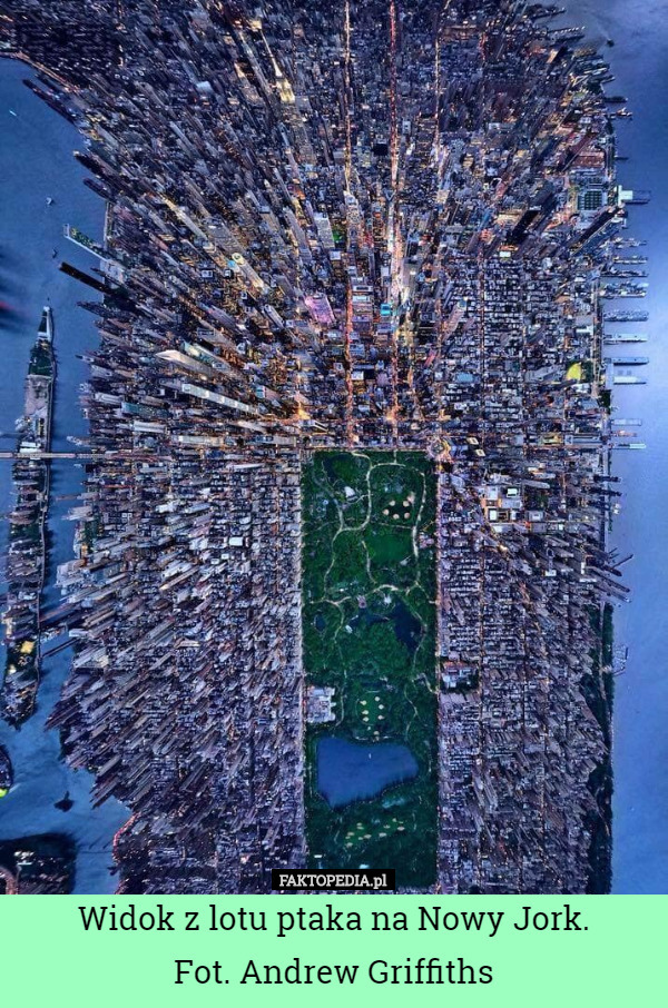 Widok z lotu ptaka na Nowy Jork.
 Fot. Andrew Griffiths 