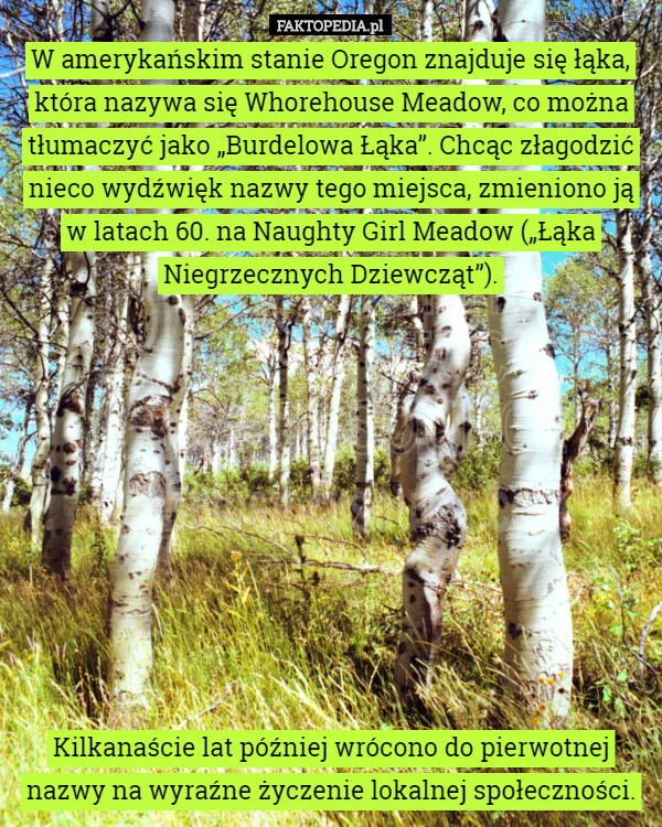 W amerykańskim stanie Oregon znajduje się łąka, która nazywa się Whorehouse Meadow, co można tłumaczyć jako „Burdelowa Łąka”. Chcąc złagodzić nieco wydźwięk nazwy tego miejsca, zmieniono ją w latach 60. na Naughty Girl Meadow („Łąka Niegrzecznych Dziewcząt”).










 Kilkanaście lat później wrócono do pierwotnej nazwy na wyraźne życzenie lokalnej społeczności. 