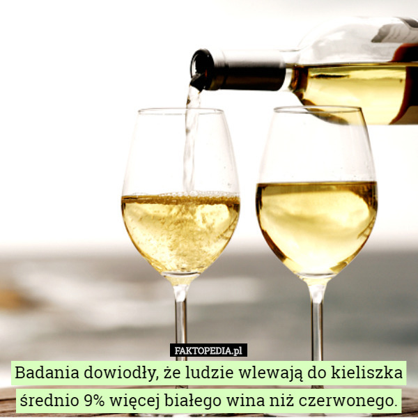 Badania dowiodły, że ludzie wlewają do kieliszka średnio 9% więcej białego wina niż czerwonego. 