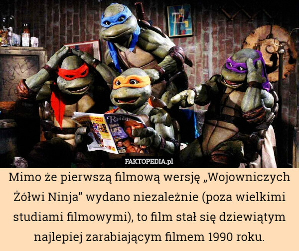 Mimo że pierwszą filmową wersję „Wojowniczych Żółwi Ninja” wydano niezależnie (poza wielkimi studiami filmowymi), to film stał się dziewiątym najlepiej zarabiającym filmem 1990 roku. 