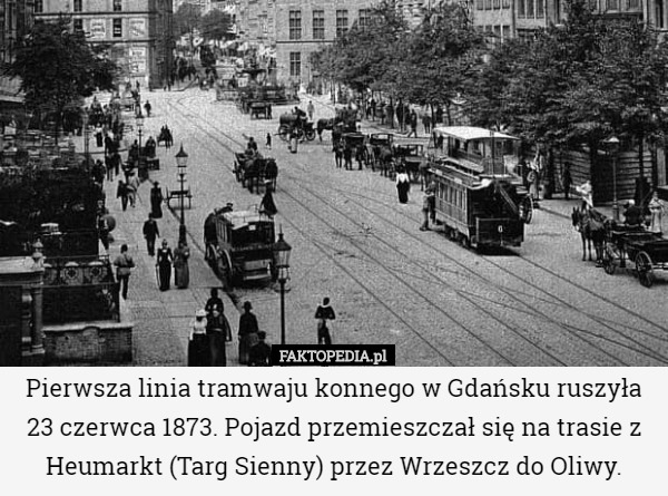 Pierwsza linia tramwaju konnego w Gdańsku ruszyła 23 czerwca 1873. Pojazd przemieszczał się na trasie z Heumarkt (Targ Sienny) przez Wrzeszcz do Oliwy. 
