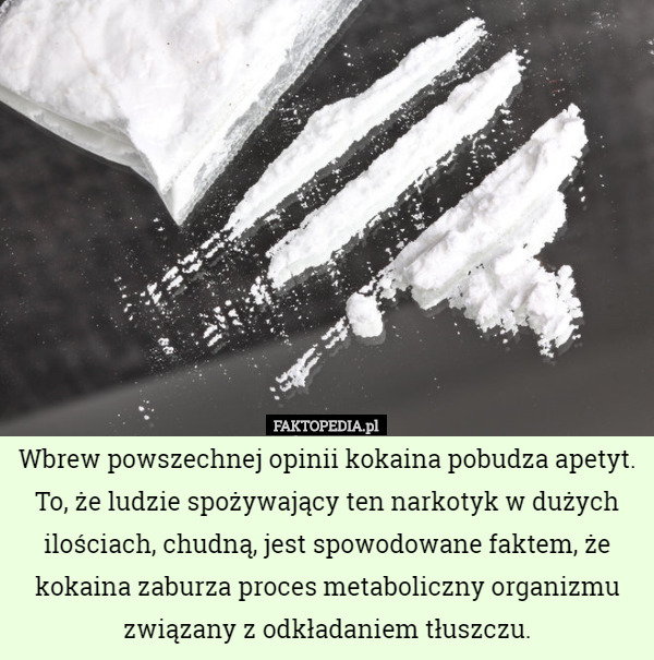 Wbrew powszechnej opinii kokaina pobudza apetyt. To, że ludzie spożywający ten narkotyk w dużych ilościach, chudną, jest spowodowane faktem, że kokaina zaburza proces metaboliczny organizmu związany z odkładaniem tłuszczu. 