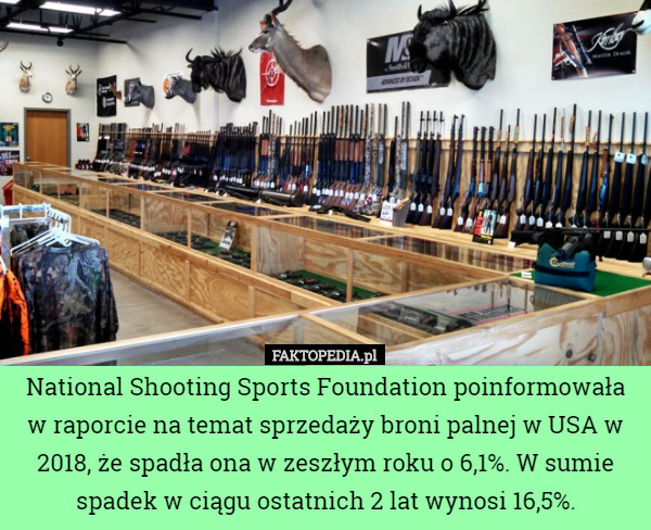 National Shooting Sports Foundation poinformowała w raporcie na temat sprzedaży broni palnej w USA w 2018, że spadła ona w zeszłym roku o 6,1%. W sumie spadek w ciągu ostatnich 2 lat wynosi 16,5%. 