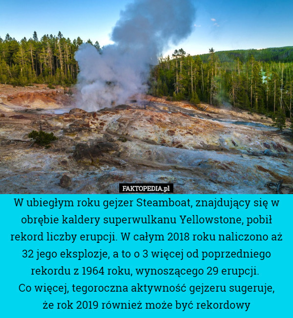 W ubiegłym roku gejzer Steamboat, znajdujący się w obrębie kaldery superwulkanu Yellowstone, pobił rekord liczby erupcji. W całym 2018 roku naliczono aż 32 jego eksplozje, a to o 3 więcej od poprzedniego rekordu z 1964 roku, wynoszącego 29 erupcji. 
Co więcej, tegoroczna aktywność gejzeru sugeruje,
 że rok 2019 również może być rekordowy 