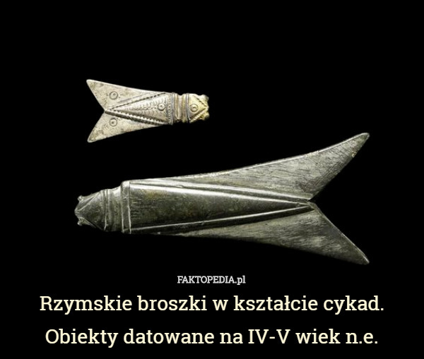 Rzymskie broszki w kształcie cykad. Obiekty datowane na IV-V wiek n.e. 