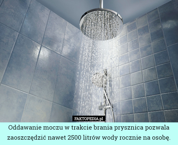 Oddawanie moczu w trakcie brania prysznica pozwala zaoszczędzić nawet 2500 litrów wody rocznie na osobę. 