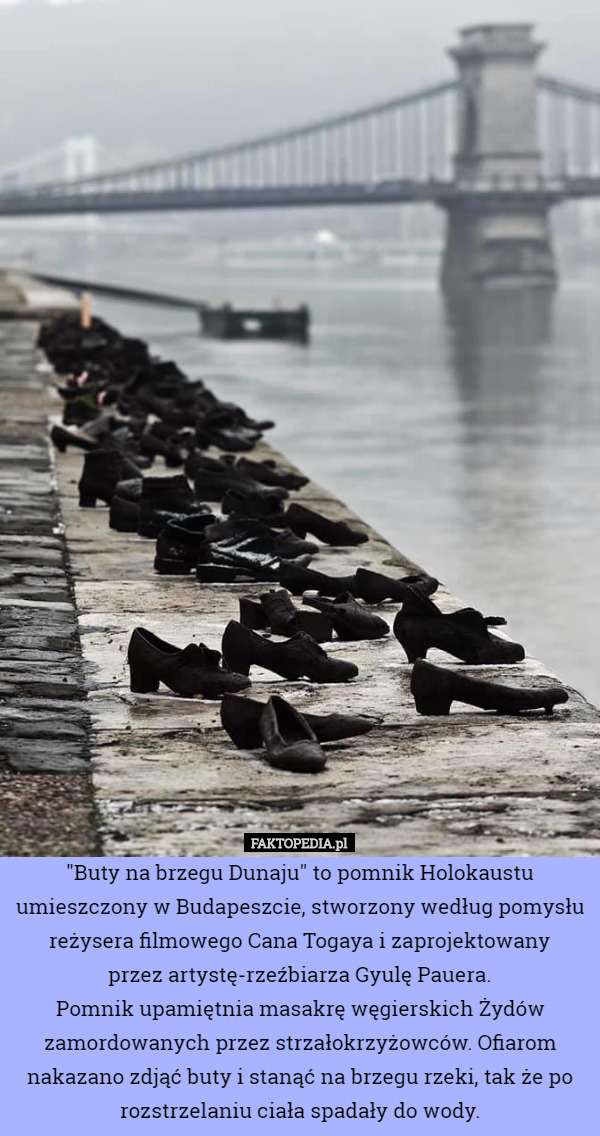 "Buty na brzegu Dunaju" to pomnik Holokaustu umieszczony w Budapeszcie, stworzony według pomysłu reżysera filmowego Cana Togaya i zaprojektowany
 przez artystę-rzeźbiarza Gyulę Pauera.
Pomnik upamiętnia masakrę węgierskich Żydów zamordowanych przez strzałokrzyżowców. Ofiarom nakazano zdjąć buty i stanąć na brzegu rzeki, tak że po rozstrzelaniu ciała spadały do wody. 