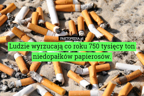 Ludzie wyrzucają co roku 750 tysięcy ton niedopałków papierosów. 