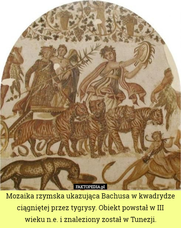 Mozaika rzymska ukazująca Bachusa w kwadrydze ciągniętej przez tygrysy. Obiekt powstał w III
 wieku n.e. i znaleziony został w Tunezji. 