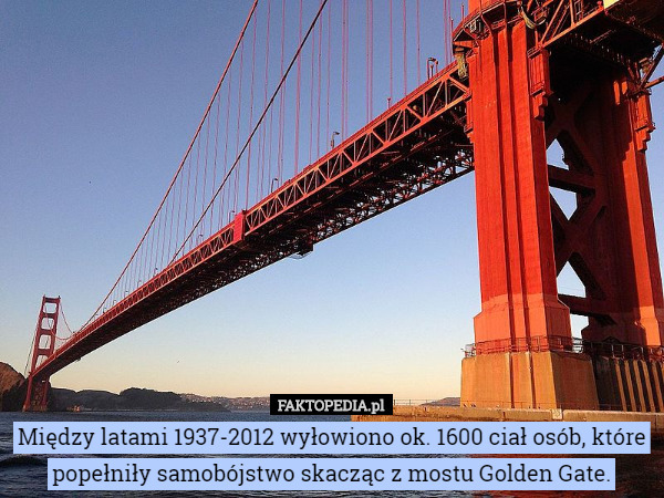 Między latami 1937-2012 wyłowiono ok. 1600 ciał osób, które popełniły samobójstwo skacząc z mostu Golden Gate. 