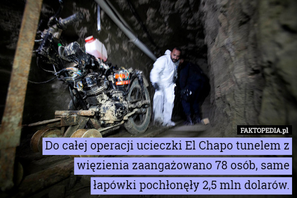 Do całej operacji ucieczki El Chapo tunelem z więzienia zaangażowano 78 osób, same
 łapówki pochłonęły 2,5 mln dolarów. 