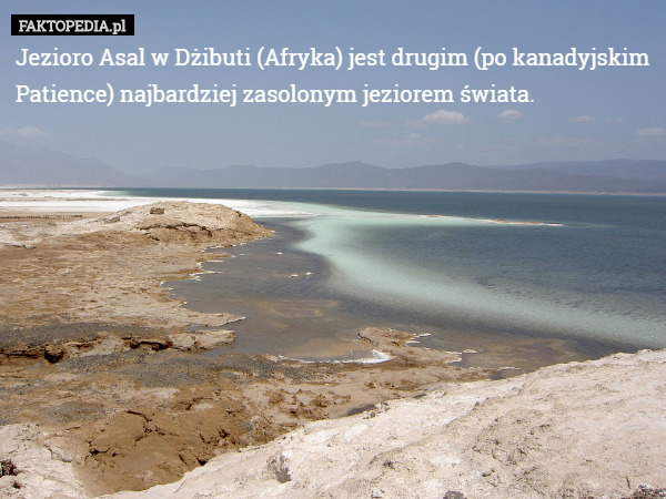 Jezioro Asal w Dżibuti (Afryka) jest drugim (po kanadyjskim Patience) najbardziej zasolonym jeziorem świata. 