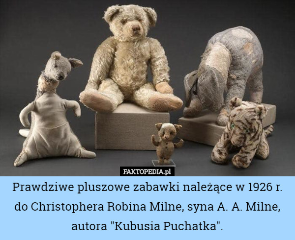 Prawdziwe pluszowe zabawki należące w 1926 r. do Christophera Robina Milne, syna A. A. Milne, autora "Kubusia Puchatka". 