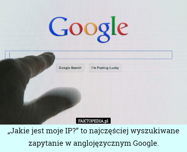 „Jakie jest moje IP?” to najczęściej wyszukiwane zapytanie w anglojęzycznym Google. 
