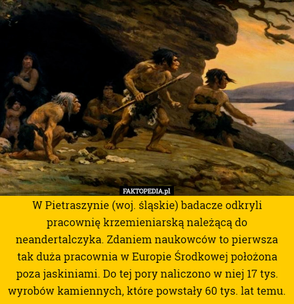 W Pietraszynie (woj. śląskie) badacze odkryli pracownię krzemieniarską należącą do neandertalczyka. Zdaniem naukowców to pierwsza tak duża pracownia w Europie Środkowej położona poza jaskiniami. Do tej pory naliczono w niej 17 tys. wyrobów kamiennych, które powstały 60 tys. lat temu. 