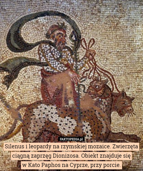 Silenus i leopardy na rzymskiej mozaice. Zwierzęta ciągną zaprzęg Dionizosa. Obiekt znajduje się
w Kato Paphos na Cyprze, przy porcie. 