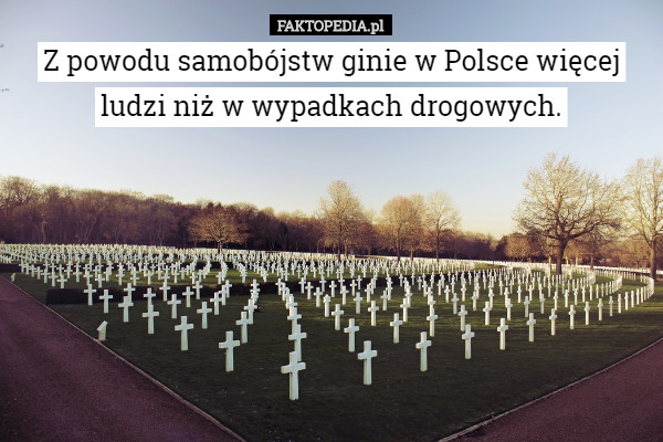 Z powodu samobójstw ginie w Polsce więcej ludzi niż w wypadkach drogowych. 