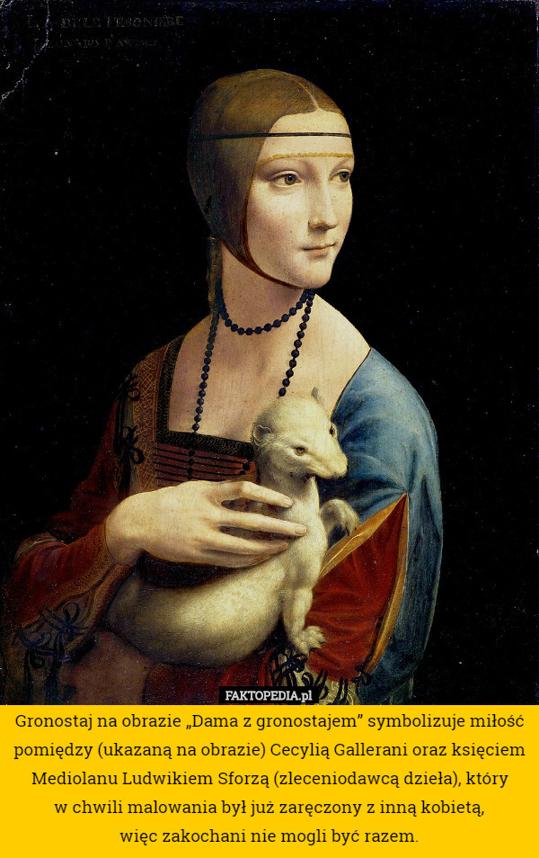 Gronostaj na obrazie „Dama z gronostajem” symbolizuje miłość pomiędzy (ukazaną na obrazie) Cecylią Gallerani oraz księciem Mediolanu Ludwikiem Sforzą (zleceniodawcą dzieła), który
 w chwili malowania był już zaręczony z inną kobietą,
 więc zakochani nie mogli być razem. 