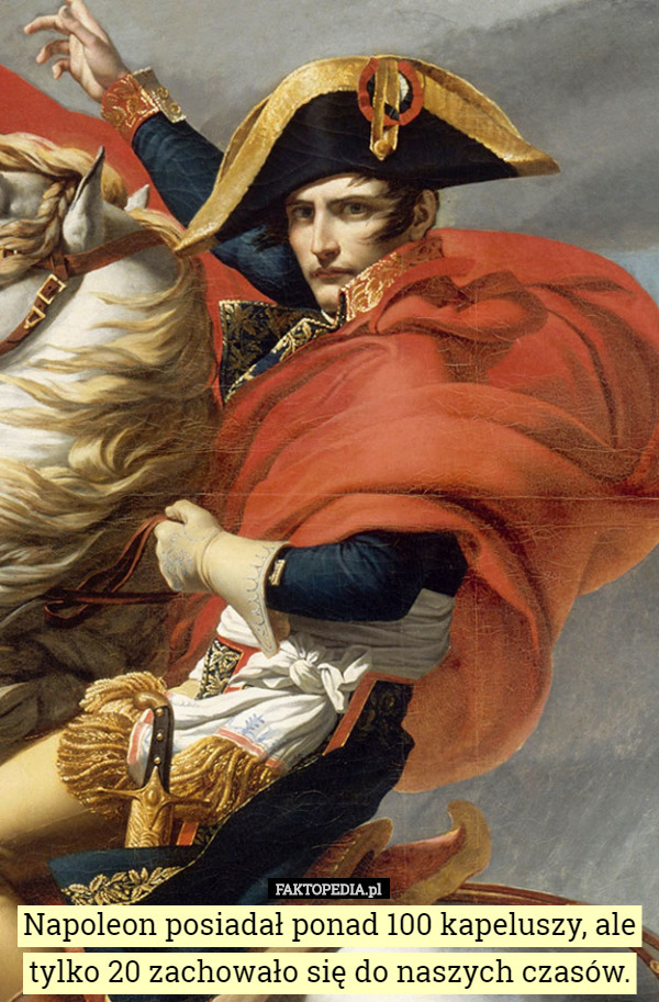 Napoleon posiadał ponad 100 kapeluszy, ale tylko 20 zachowało się do naszych czasów. 