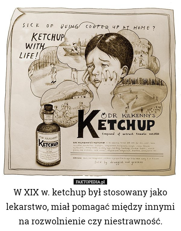 W XIX w. ketchup był stosowany jako lekarstwo, miał pomagać między innymi na rozwolnienie czy niestrawność. 