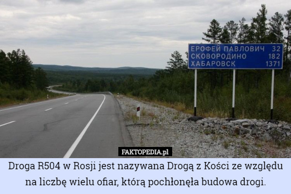 Droga R504 w Rosji jest nazywana Drogą z Kości ze względu na liczbę wielu ofiar, którą pochłonęła budowa drogi. 