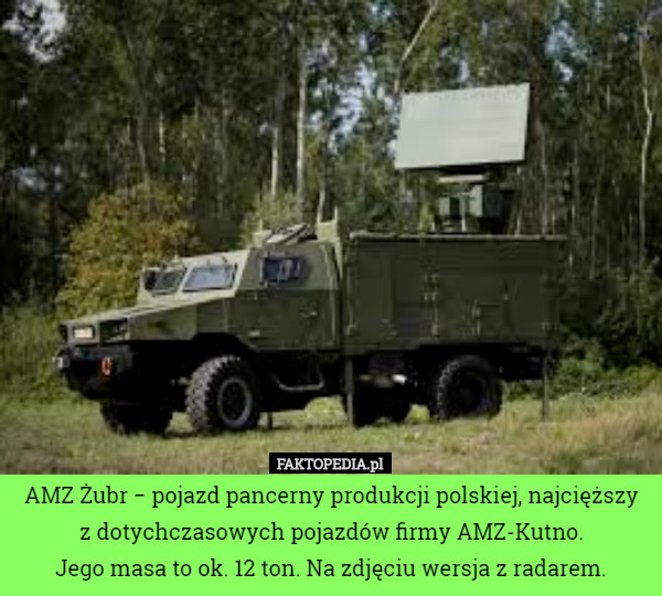AMZ Żubr − pojazd pancerny produkcji polskiej, najcięższy z dotychczasowych pojazdów firmy AMZ-Kutno.
 Jego masa to ok. 12 ton. Na zdjęciu wersja z radarem. 