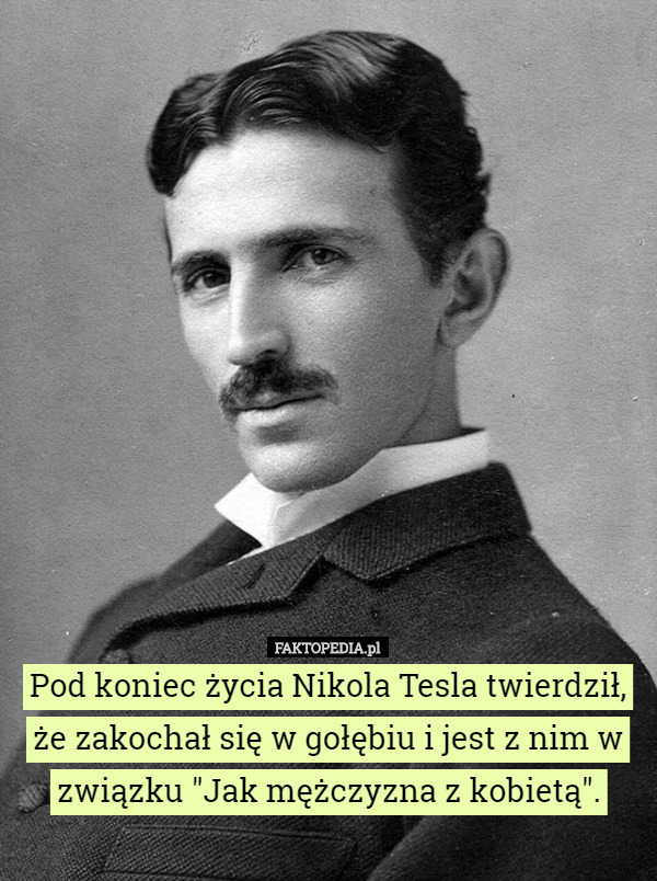 Pod koniec życia Nikola Tesla twierdził, że zakochał się w gołębiu i jest z nim w związku "Jak mężczyzna z kobietą". 
