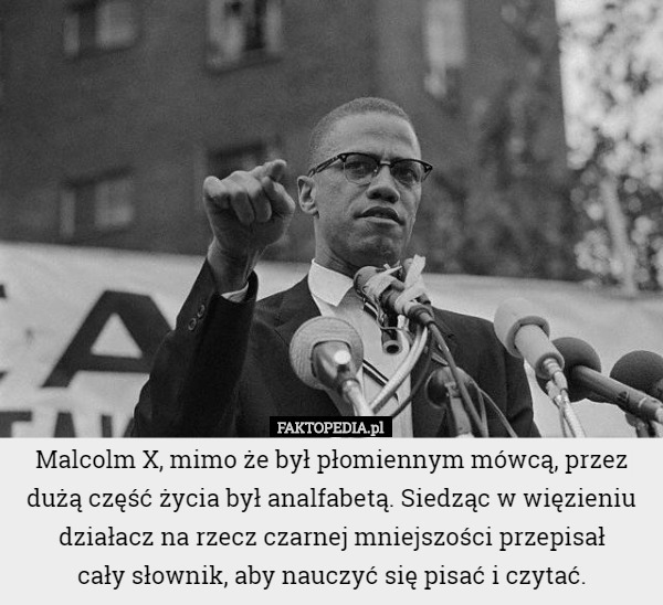 Malcolm X, mimo że był płomiennym mówcą, przez dużą część życia był analfabetą. Siedząc w więzieniu działacz na rzecz czarnej mniejszości przepisał
 cały słownik, aby nauczyć się pisać i czytać. 