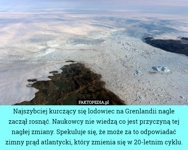 Najszybciej kurczący się lodowiec na Grenlandii nagle zaczął rosnąć. Naukowcy nie wiedzą co jest przyczyną tej nagłej zmiany. Spekuluje się, że może za to odpowiadać zimny prąd atlantycki, który zmienia się w 20-letnim cyklu. 