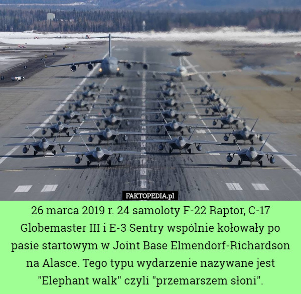 26 marca 2019 r. 24 samoloty F-22 Raptor, C-17 Globemaster III i E-3 Sentry wspólnie kołowały po pasie startowym w Joint Base Elmendorf-Richardson na Alasce. Tego typu wydarzenie nazywane jest "Elephant walk" czyli "przemarszem słoni". 