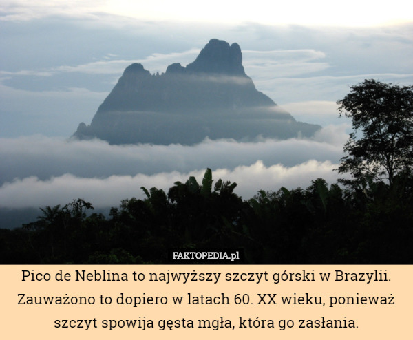 Pico de Neblina to najwyższy szczyt górski w Brazylii. Zauważono to dopiero w latach 60. XX wieku, ponieważ szczyt spowija gęsta mgła, która go zasłania. 