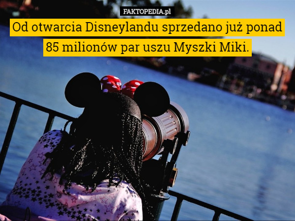 Od otwarcia Disneylandu sprzedano już ponad 85 milionów par uszu Myszki Miki. 