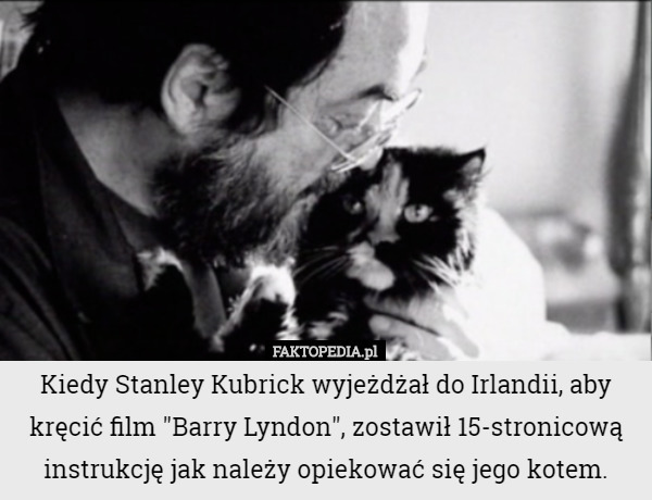 Kiedy Stanley Kubrick wyjeżdżał do Irlandii, aby kręcić film "Barry Lyndon", zostawił 15-stronicową instrukcję jak należy opiekować się jego kotem. 