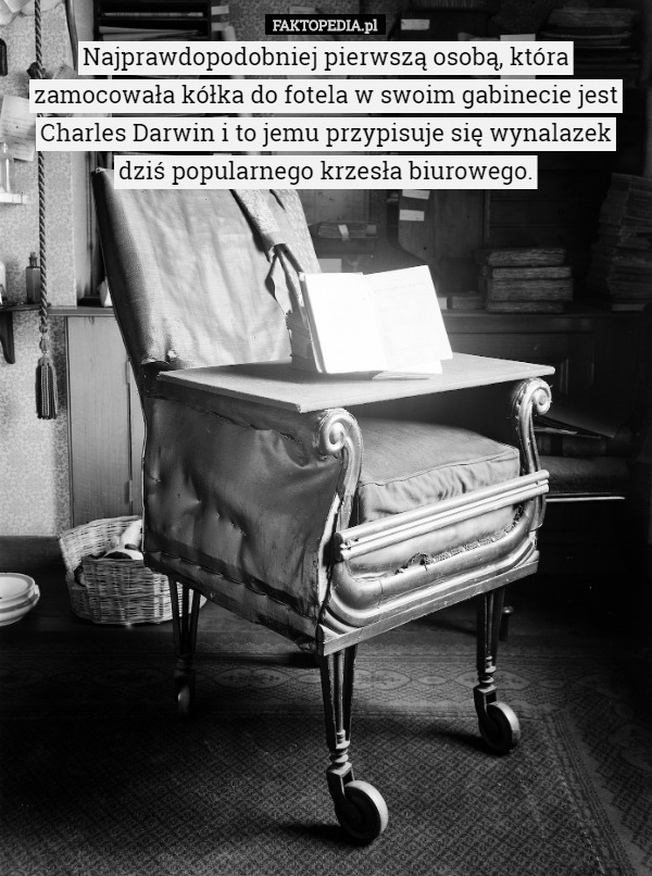 Najprawdopodobniej pierwszą osobą, która zamocowała kółka do fotela w swoim gabinecie jest Charles Darwin i to jemu przypisuje się wynalazek dziś popularnego krzesła biurowego. 